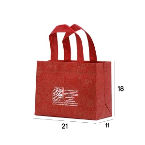 بگ اختصاصی فراز هنر طرح دار 21*18